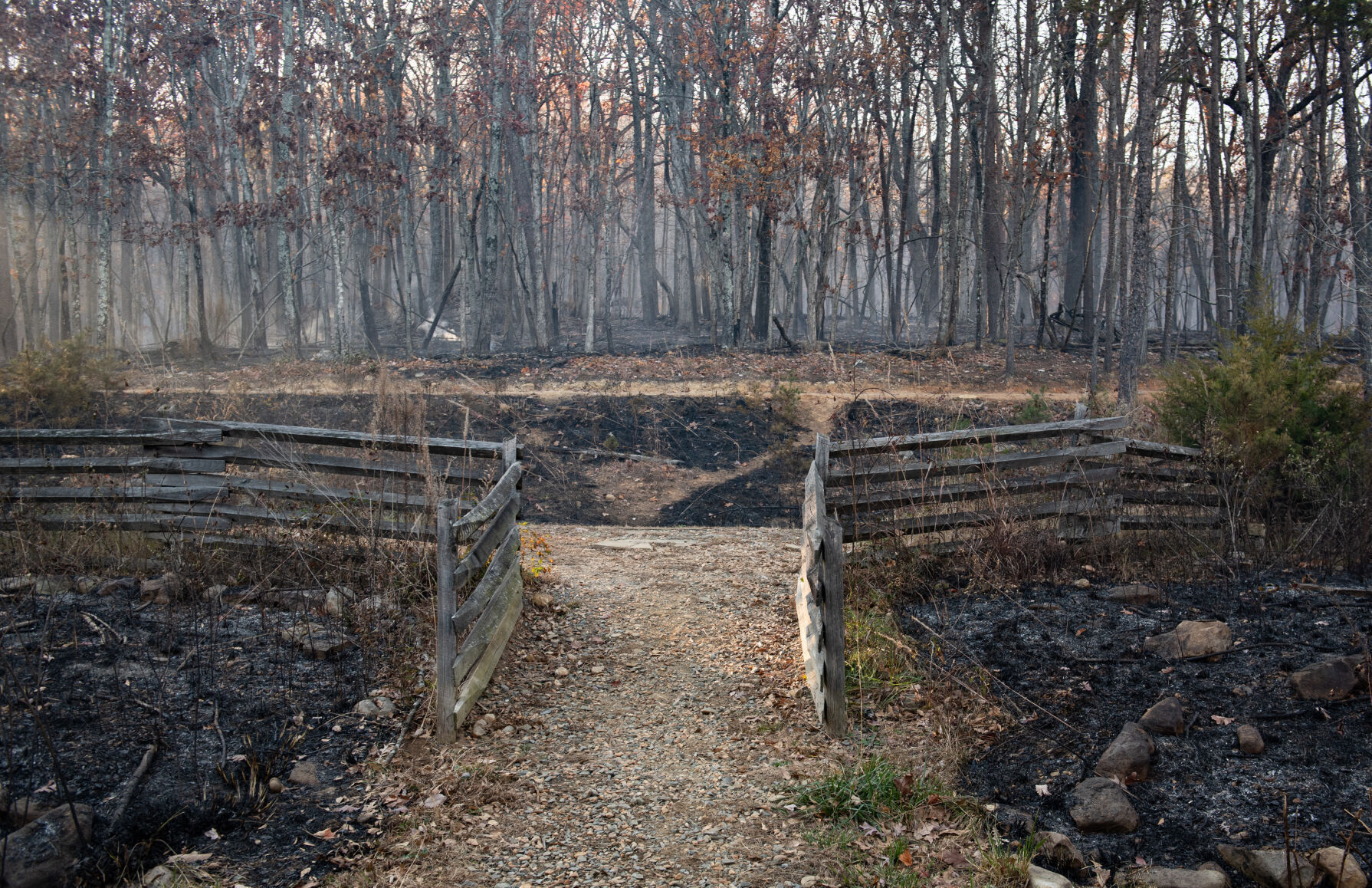 Pilot Mountain Fire Damage
